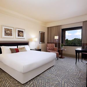 King Room Terrace